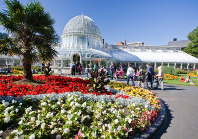 Belfast Botanic Gardens